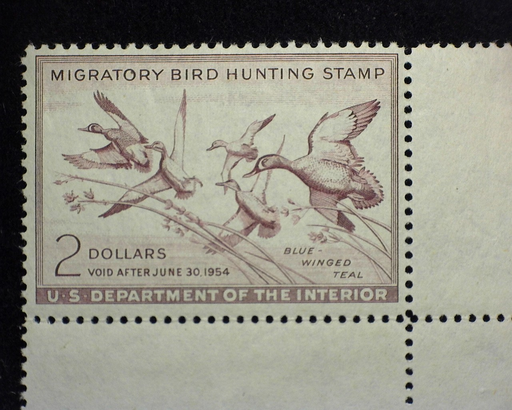 HS&C: US #RW20 Stamp Mint Choice corner margin stamp. VF/XF NH
