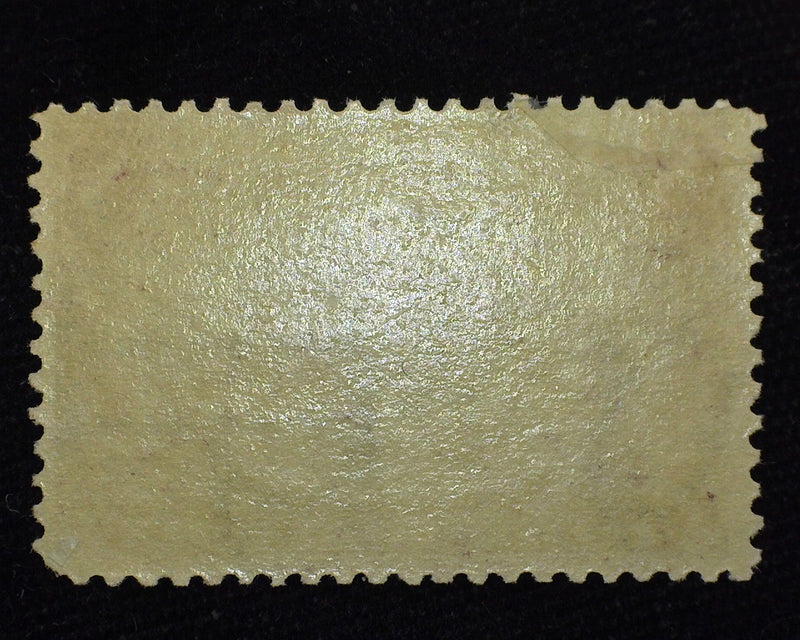 #289 8 cent Trans Mississippi. Reperforated, nice appearing. Mint F LH US Stamp