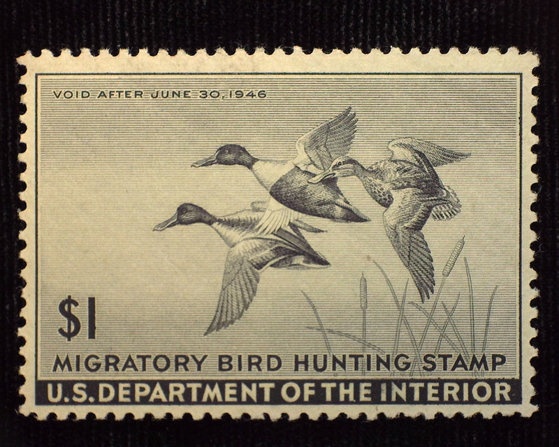 #RW12 $1.00 Hunting Permit Mint VF/XF NH - US Stamp