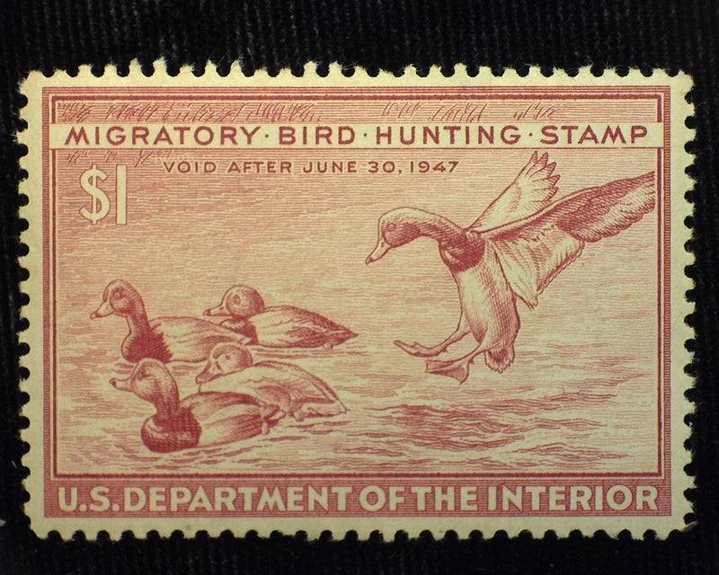 #RW13 $1.00 Hunting Permit Choice. Mint XF NH - US Stamp