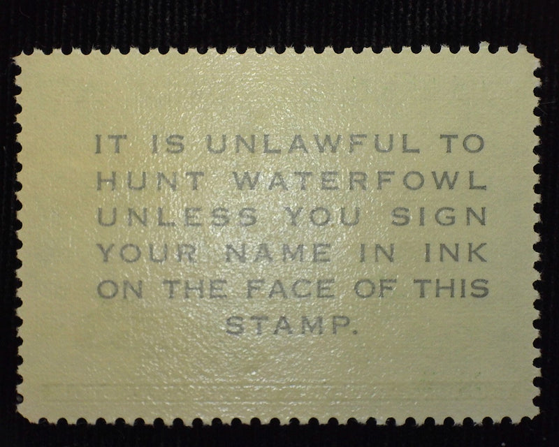 #RW24 $2.00 Hunting Permit Mint VF/XF NH - US Stamp