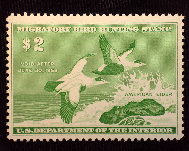 #RW24 $2.00 Hunting Permit Mint VF/XF NH - US Stamp
