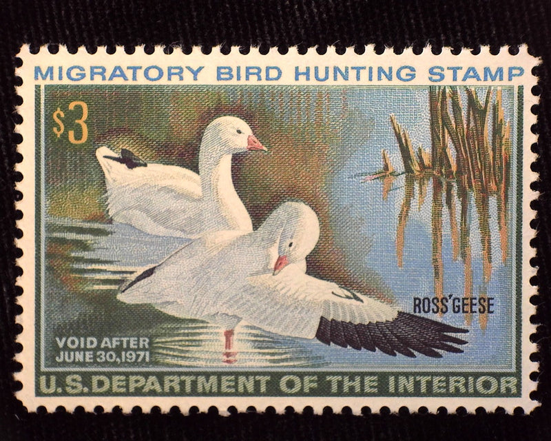 #RW27 $3.00 Hunting Permit Mint VF/XF NH - US Stamp