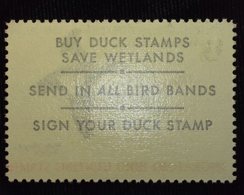 #RW36 $3.00 Hunting Permit Mint VF NH - US Stamp