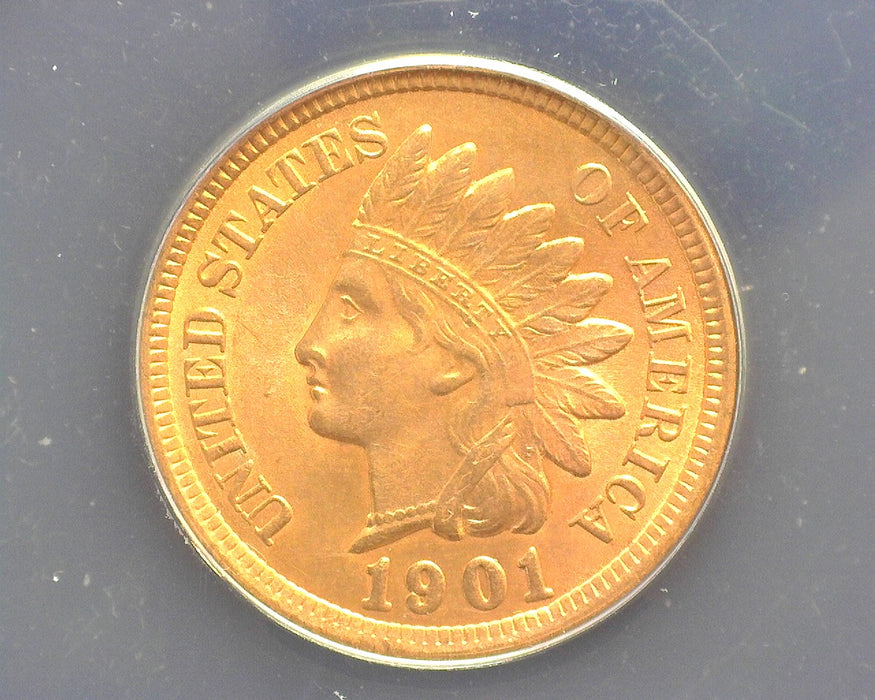1901 Indian Head Penny/Cent Red MS64 ANACS - US Coin