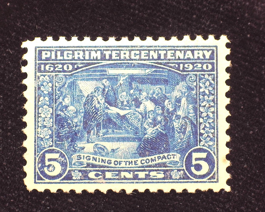 #550 5c Pilgrim Choice large margin stamp. Mint XF/Sup NH US Stamp