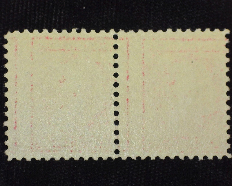 #505 Mint Vf/Xf NH Choice 5c error pair, a beauty!. - US Stamp