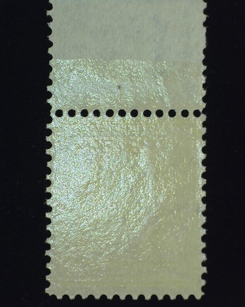 #338 10c Washington Choice brilliant color top margin stamp. Mint VF/XF NH - US Stamp