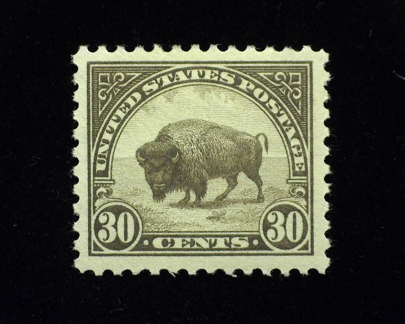 #569. Mint Xf LH Outstanding "Jumbo" margin stamp. A beauty! - US Stamp