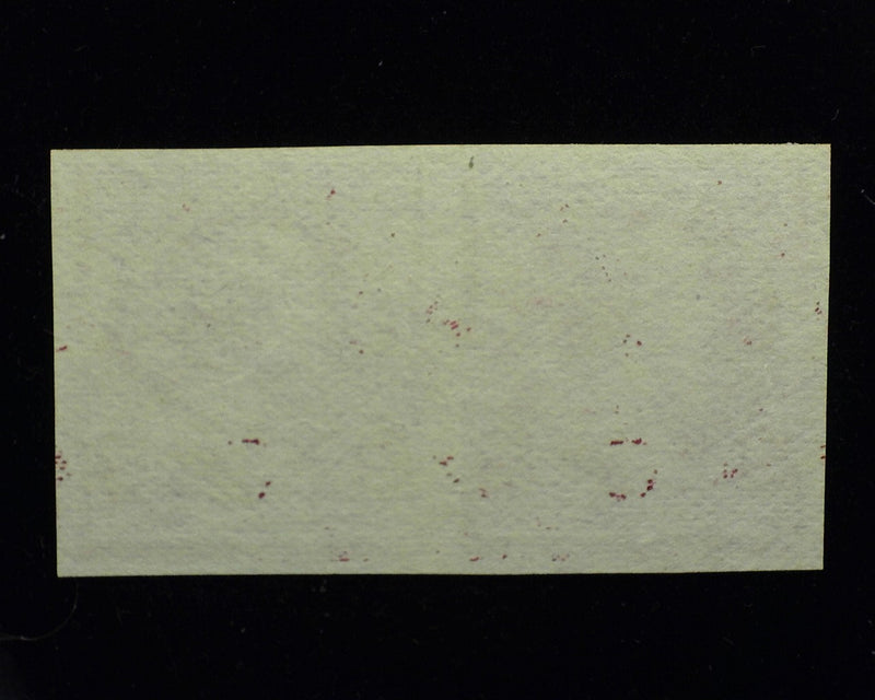 #219d P5. Horizontal pair plate on stamp paper. Mint - US Stamp