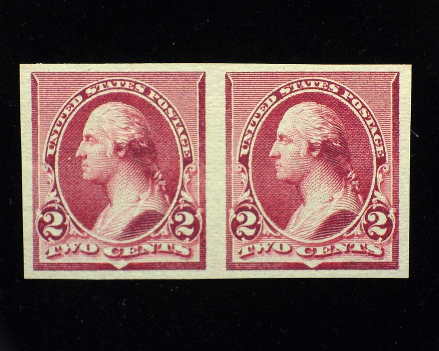 #219 DP5. Mint Horizontal pair plate on stamp paper. - US Stamp