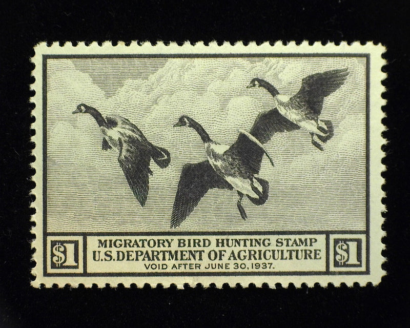 #RW3 1 Dollar Hunting Permit Mint Xf NH Choice large margin stamp. - US Stamp
