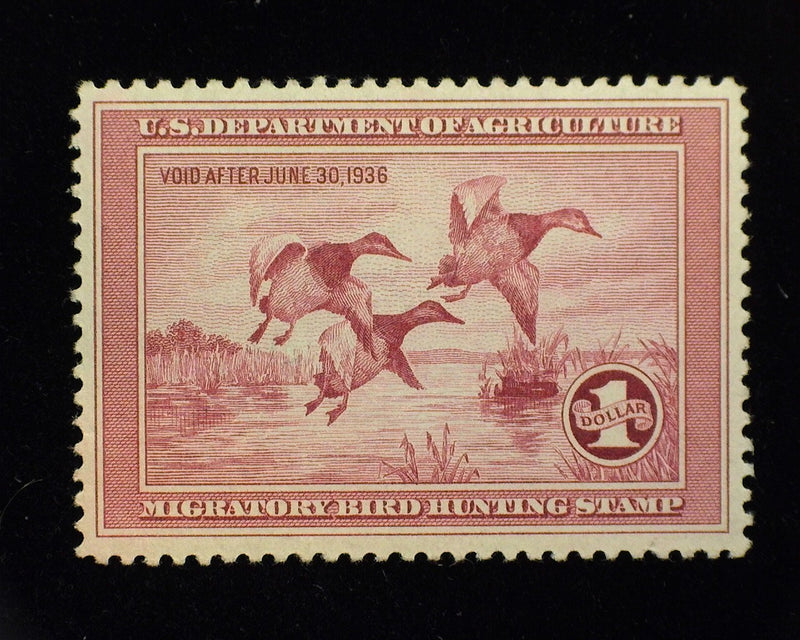 #RW2 $1.00 Hunting Permit Fresh and choice large margin stamp. Mint Xf NH  - US Stamp