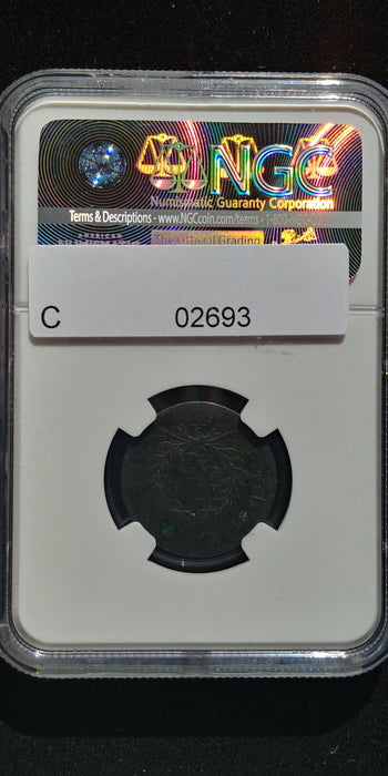 1793 Liberty Cap, Facing Left Half Cent NGC Environmental damage which is porosity to surface. - US Coin