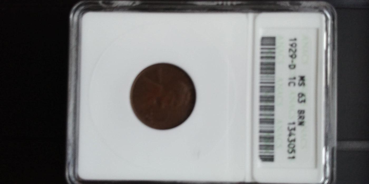 1929 D Lincoln Wheat Penny/Cent ANACS MS-63 BRN - US Coin