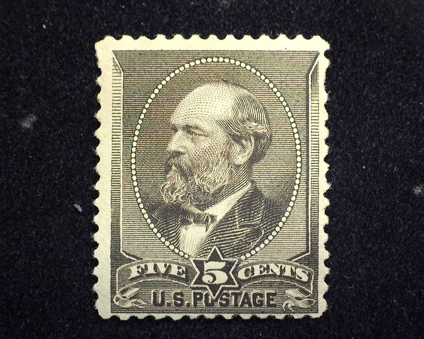 #205 Glazed gum and missing perf. Mint F NH US Stamp