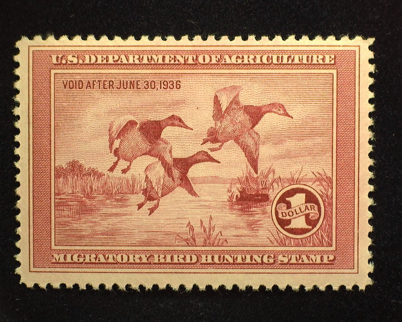 #RW2 $1.00 Hunting Permit. Fresh and choice. Mint VF NH - US Stamp
