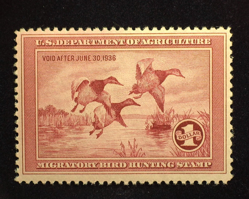 #RW2 $1.00 Hunting Permit. Fresh and choice. Mint VF/XF NH - US Stamp