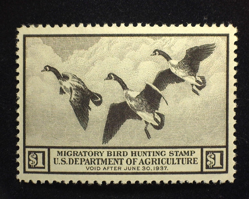 #RW3 $1.00 Hunting Permit Outstanding large margin stamp. A Gem! Mint XF/S NH - US Stamp