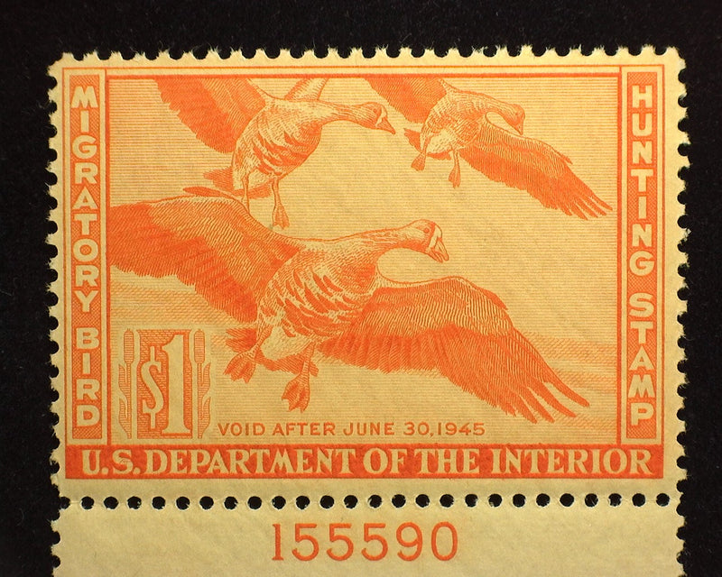 #RW11 $1.00 Hunting Permit Fresh PL# single. Mint F/VF NH - US Stamp
