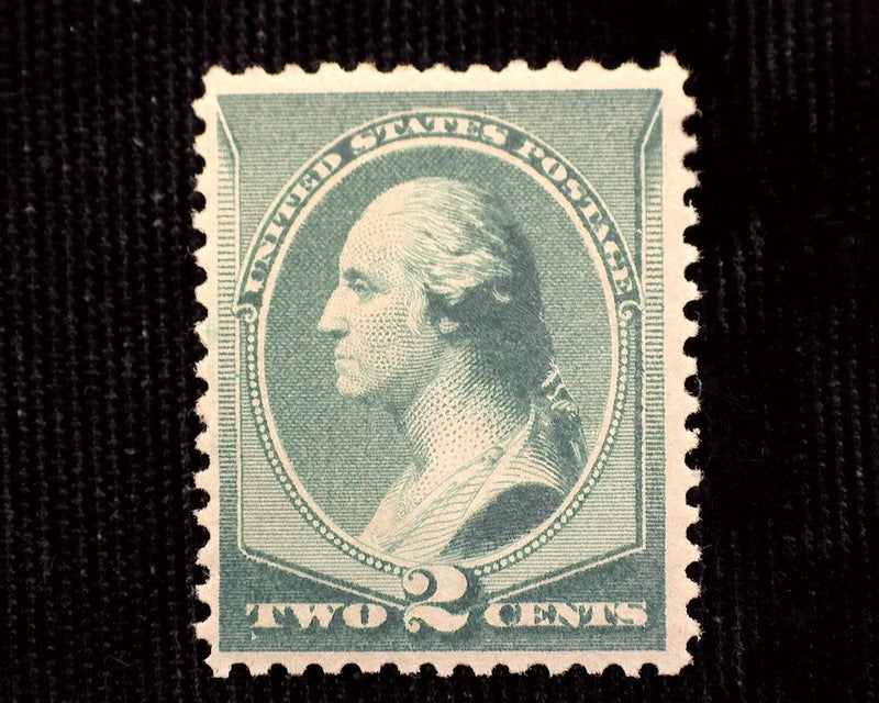 #213 Sensational freshness. Mint Vf NH - US Stamp
