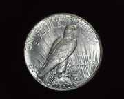 1926 S Peace BU MS-63 Reverse - US Coin - Huntington Stamp and Coin