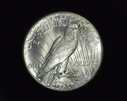 1928 Peace BU MS-64 Reverse - US Coin - Huntington Stamp and Coin