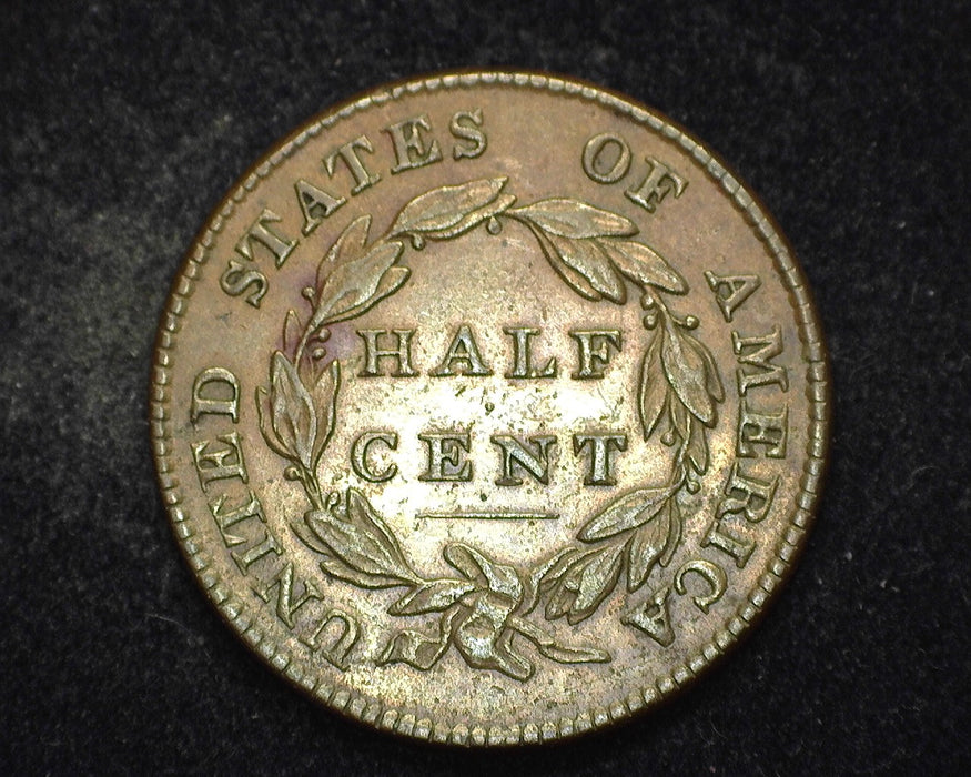 1826 13 Stars Classic Head Half Cent AU - US Coin