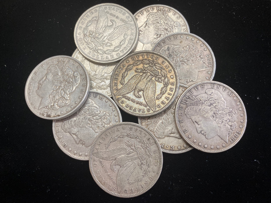 Morgan Dollar Half Roll - 10 Various Years/Mints Coins - XF or Better
