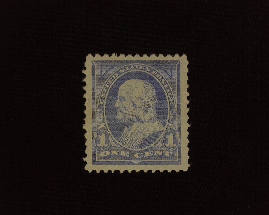 HS&C: US #246 Stamp Mint Choice large margin stamp. XF/S LH