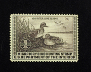 HS&C: US #RW6 Stamp Mint No gum. F/VF