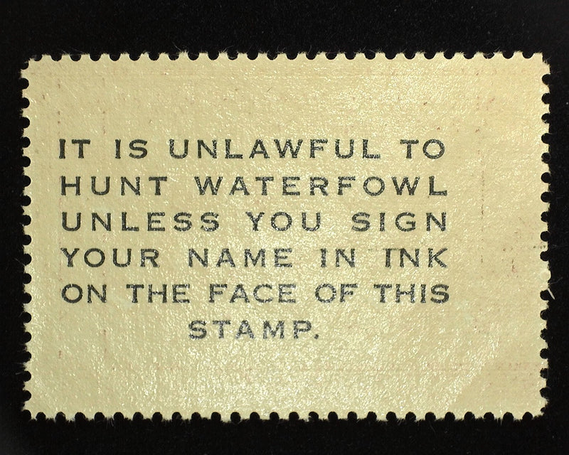 #RW13 $1.00 Hunting Permit Choice. Mint XF NH - US Stamp