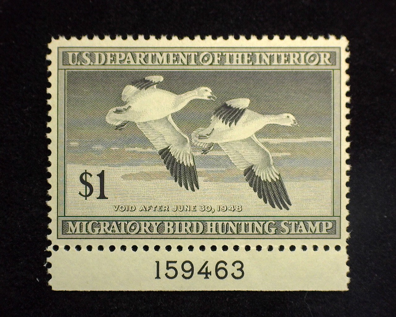 #RW14 $1.00 Hunting Permit Fresh plate number single. Mint XF NH - US Stamp