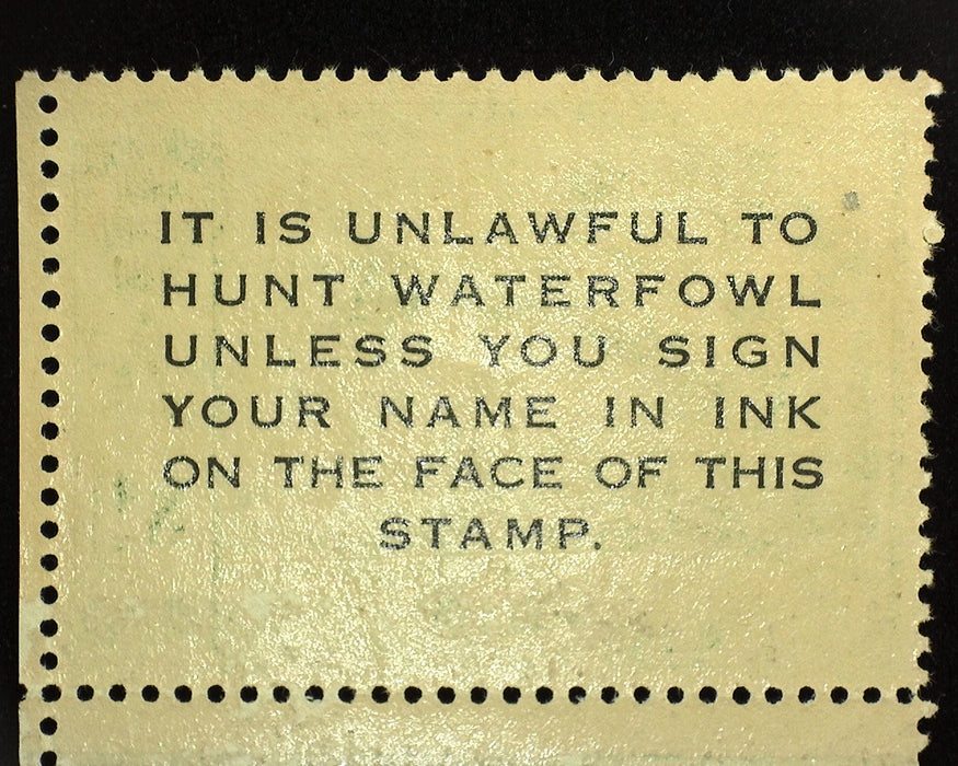 #RW16 Mint VF NH US Stamp