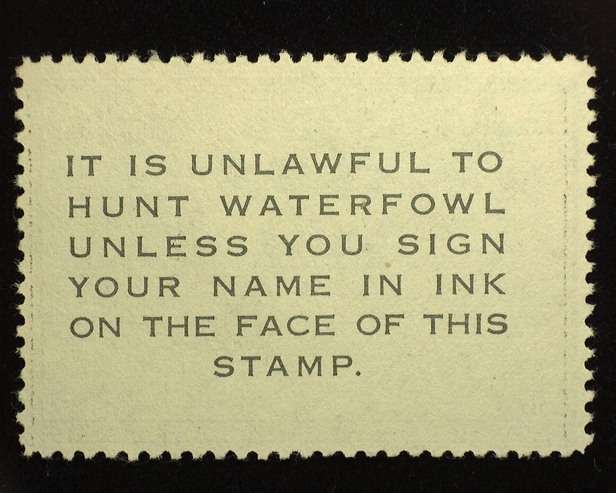 #RW18 Mint No gum. F US Stamp