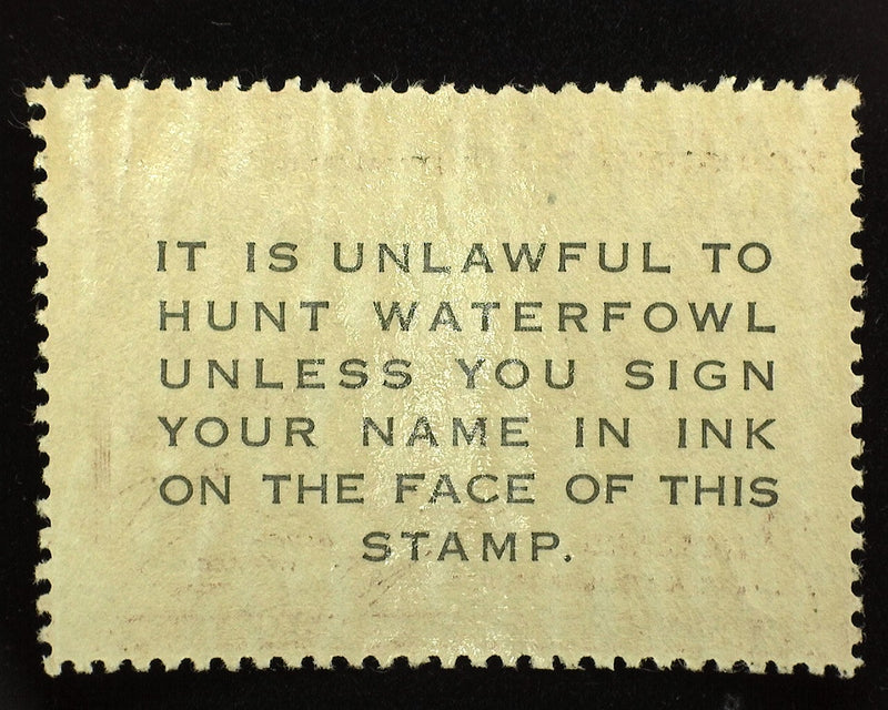 #RW20 $2.00 Hunting Permit Mint Vf/Xf NH - US Stamp
