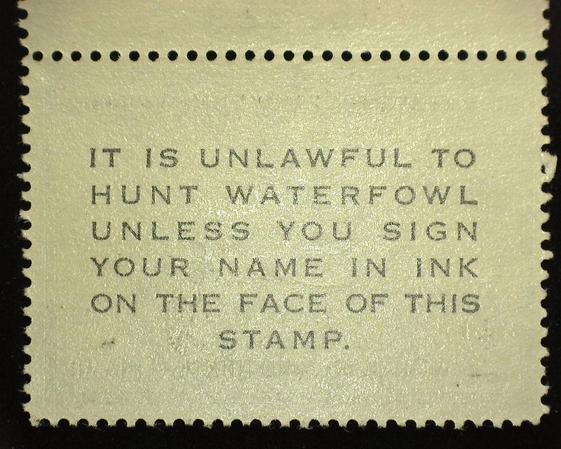 #RW23 $2.00 Hunting Permit Fresh plate number single. Mint F/VF NH - US Stamp