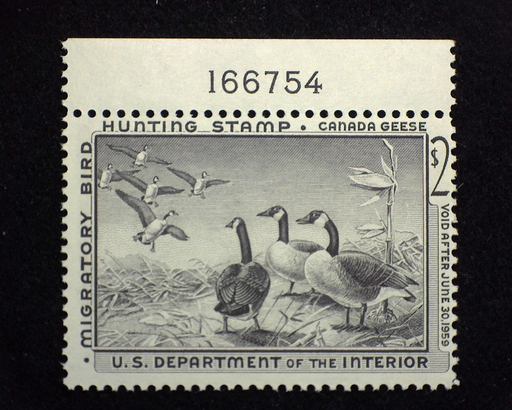 HS&C: US #RW25 Stamp Mint Plate number single. F NH