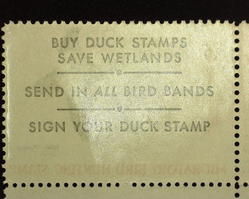 #RW36 $3.00 Hunting Permit Fresh plate number single. Mint F/VF NH - US Stamp