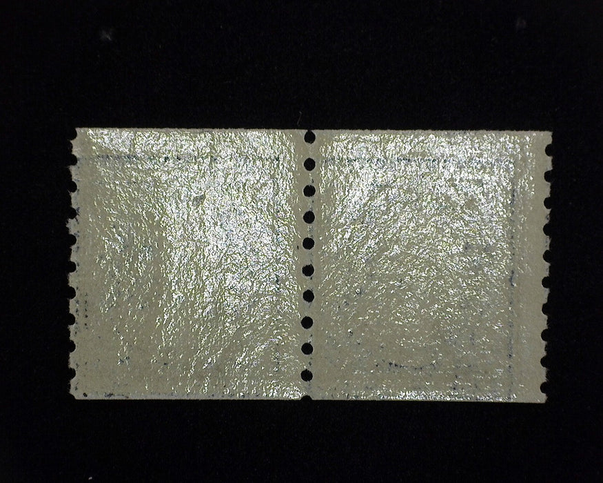 #396 MNH Fresh horizontal pair F US Stamp