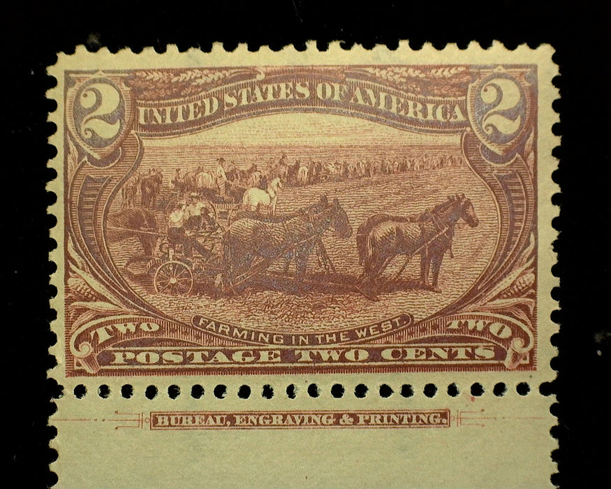 #286 2 cent Trans Mississippi Fresh impt margin stamp Mint VF NH US Stamp