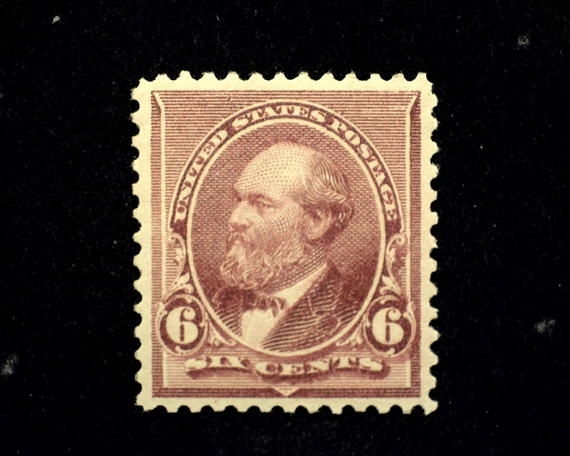 #224 Choice with balanced margins. 1-02 APS Cert. Mint XF/Sup LH - US Stamp
