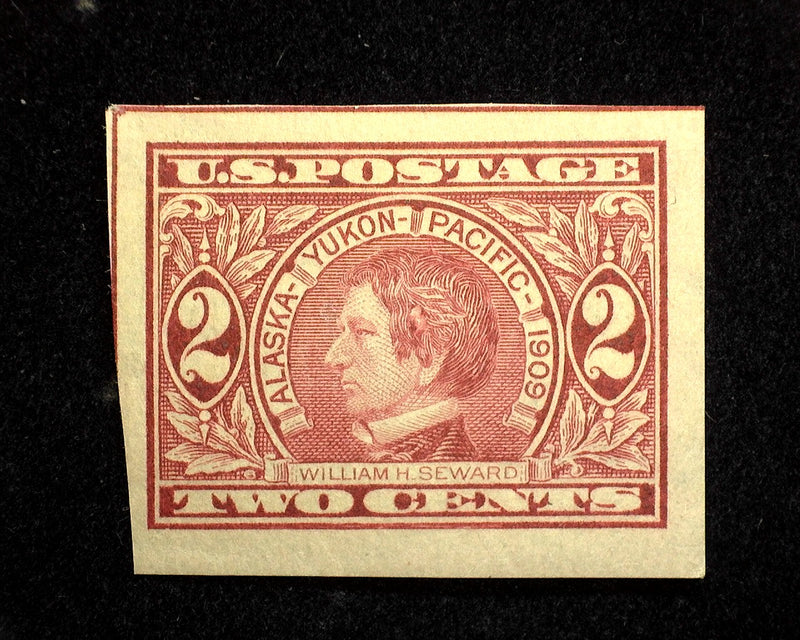 #371 2c Alaska Yukon Imperforate Mint VF/XF NH - US Stamp