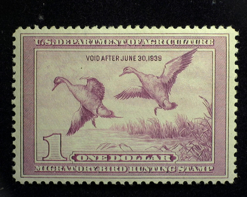 #RW5 $1.00 Hunting Permit A Beauty! Mint XF VLH - US Stamp