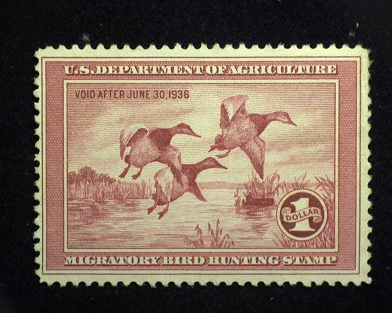 #RW2 $1.00 Hunting Permit. Some nibbled perfs. Good color. Mint F/VF No gum - US Stamp