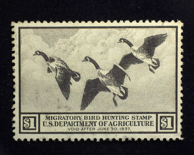 #RW3 $1.00 Hunting Permit Nice used stamp. XF Used - US Stamp
